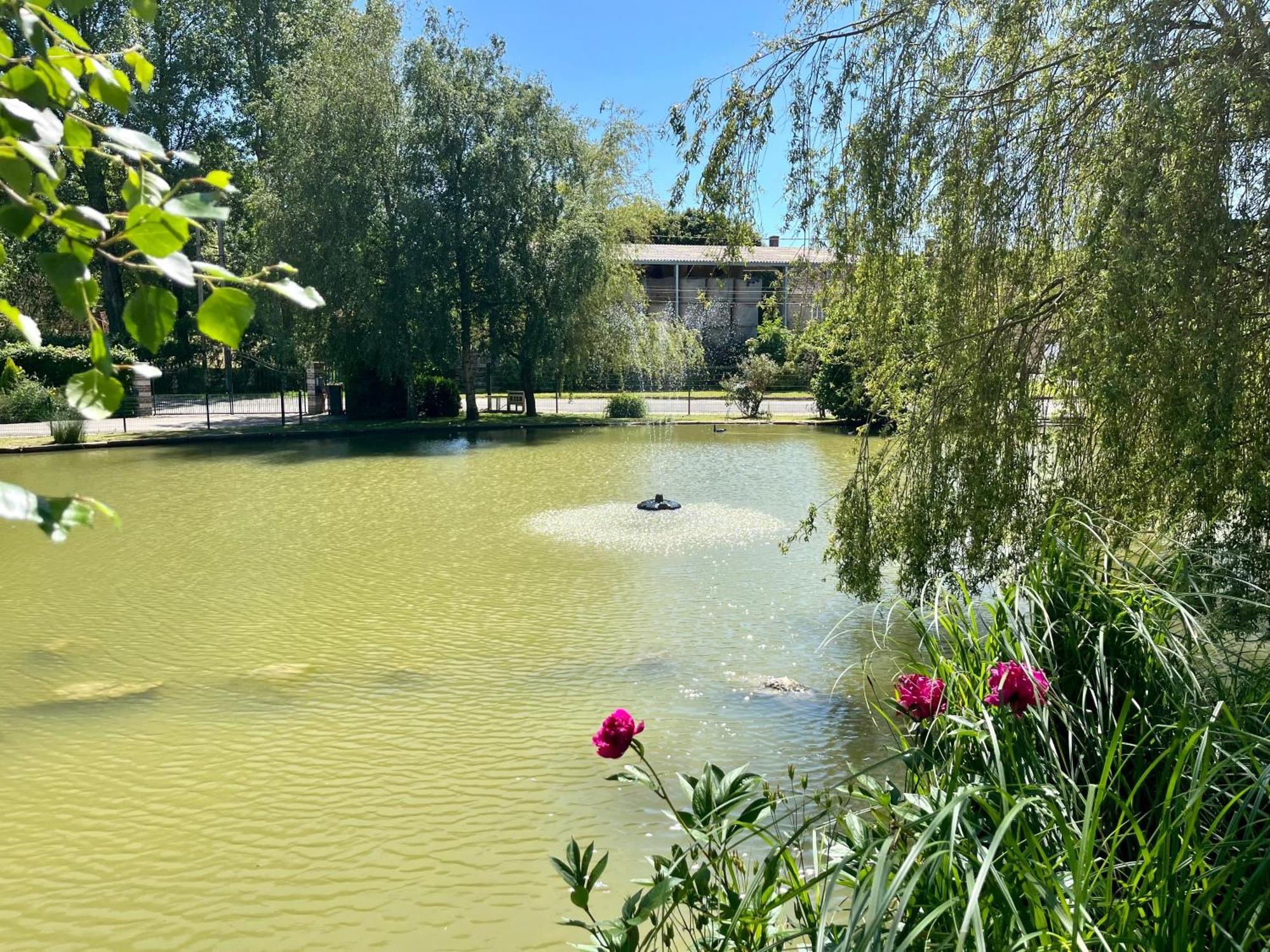 L'Etang D'Une Pause Samer Екстер'єр фото